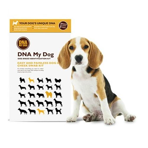 DNA My Dog Testing Kit