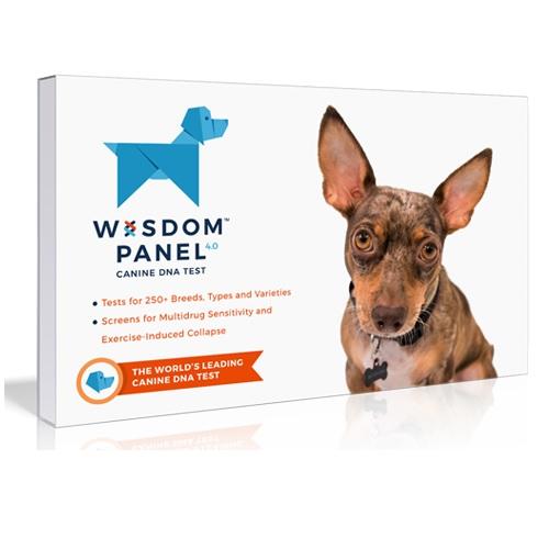 Wisdom Panel DNA Testing Kit